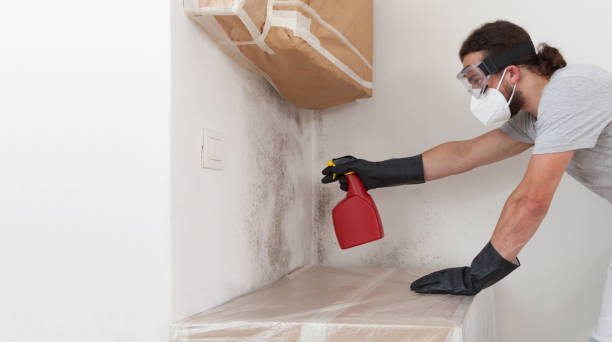 Professional Attic Mold Removal technician working in Oakdale, NY
